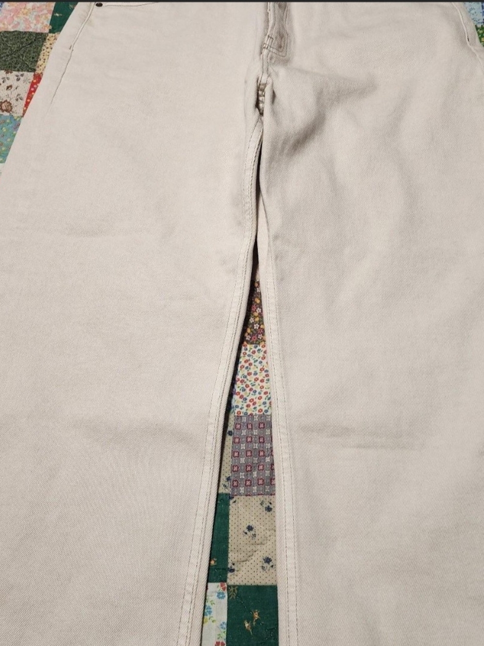 We The Free Light Beige Chino Pants